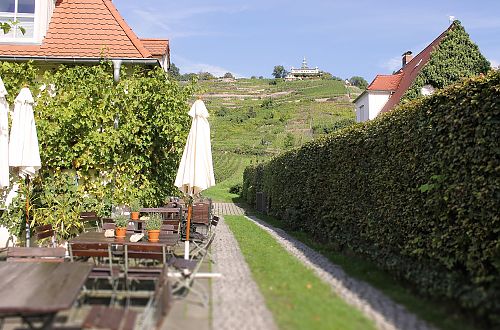 Weinausschank in Radebeul, Eingang zum Weingut Große