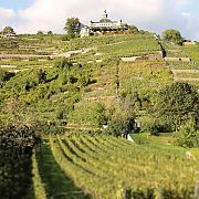 Weingut Große Weinausschank mit Blick auf das Spitzhaus Radebeul