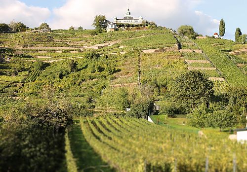 Weingut Große Weinausschank mit Blick auf das Spitzhaus Radebeul