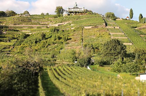 Weingut Große Weinausschank mit Blick auf das Spitzhaus Radebeul